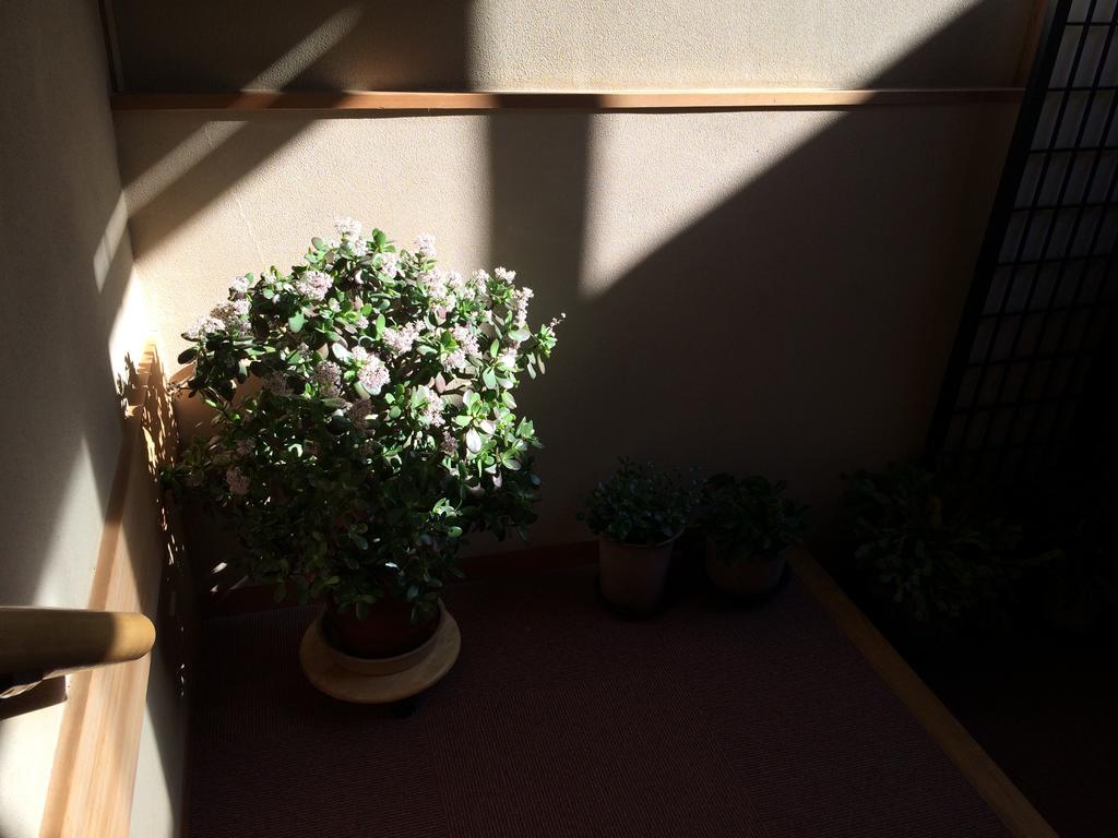 Yudanaka Onsen Yamazakiya Hotel Yamanouchi  Bagian luar foto