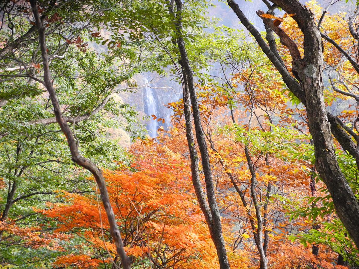 Yudanaka Onsen Yamazakiya Hotel Yamanouchi  Bagian luar foto